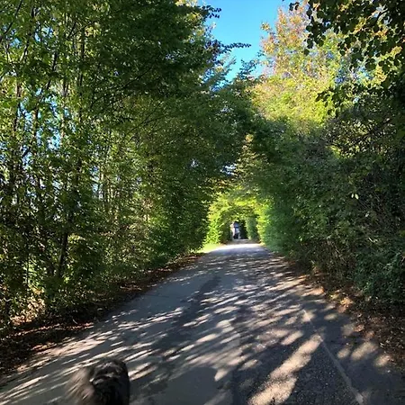 Col De Le Mole - Dolomiti Bellunesi Bed & Breakfast 3*