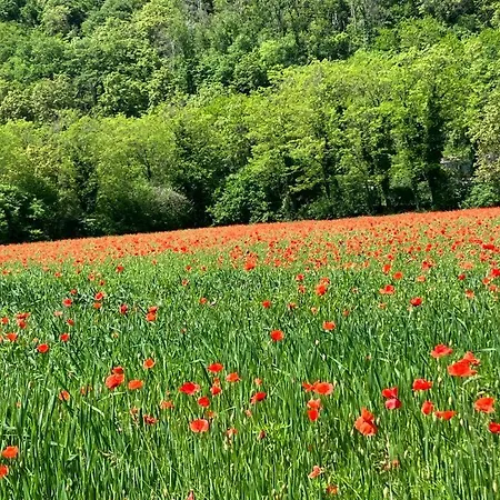 Col De Le Mole - Dolomiti Bellunesi 3* Belluno
