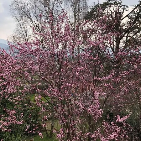 Col De Le Mole - Dolomiti Bellunesi Отель типа 