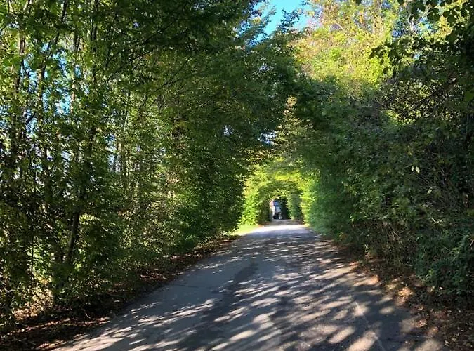 Col De Le Mole - Dolomiti Bellunesi Bed & Breakfast 3*