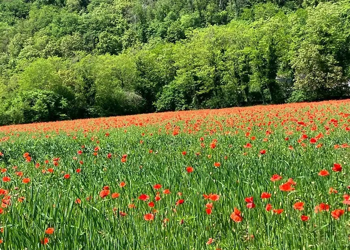 Col De Le Mole - Dolomiti Bellunesi 3* Belluno