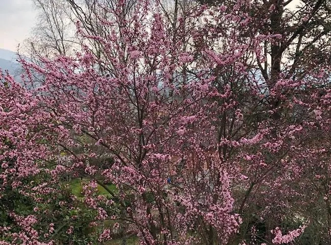 Col De Le Mole - Dolomiti Bellunesi Oda ve Kahvaltı Belluno